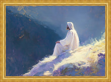 Load image into Gallery viewer, Contemplation

