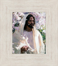 Load image into Gallery viewer, Abide
