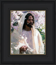 Load image into Gallery viewer, Abide
