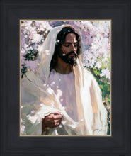 Load image into Gallery viewer, Abide
