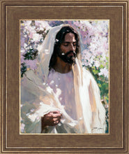 Load image into Gallery viewer, Abide
