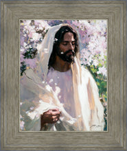 Load image into Gallery viewer, Abide
