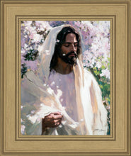Load image into Gallery viewer, Abide

