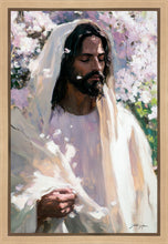 Load image into Gallery viewer, Abide
