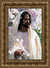 Load image into Gallery viewer, Abide

