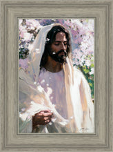 Load image into Gallery viewer, Abide
