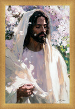 Load image into Gallery viewer, Abide
