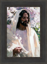 Load image into Gallery viewer, Abide
