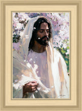 Load image into Gallery viewer, Abide
