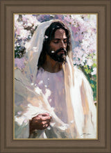 Load image into Gallery viewer, Abide
