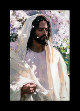 Load image into Gallery viewer, Abide

