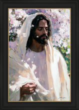 Load image into Gallery viewer, Abide

