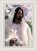Load image into Gallery viewer, Abide
