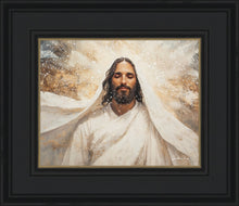 Load image into Gallery viewer, The Light of Life
