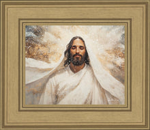 Load image into Gallery viewer, The Light of Life

