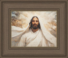Load image into Gallery viewer, The Light of Life
