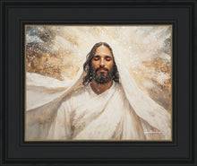 Load image into Gallery viewer, The Light of Life
