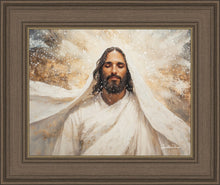 Load image into Gallery viewer, The Light of Life

