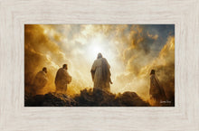 Load image into Gallery viewer, The Mount
