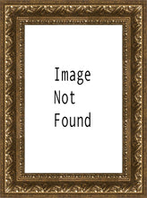 Load image into Gallery viewer, Lawrence Pretended Not to Notice
