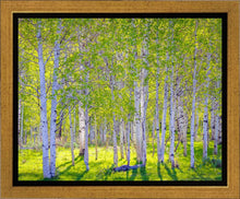 Load image into Gallery viewer, Early Morning Light in the Wasatch Backcountry
