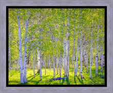 Load image into Gallery viewer, Early Morning Light in the Wasatch Backcountry
