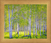 Load image into Gallery viewer, Early Morning Light in the Wasatch Backcountry
