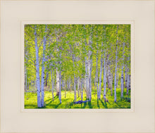 Load image into Gallery viewer, Early Morning Light in the Wasatch Backcountry
