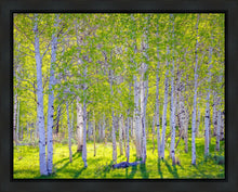 Load image into Gallery viewer, Early Morning Light in the Wasatch Backcountry
