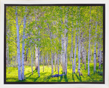 Load image into Gallery viewer, Early Morning Light in the Wasatch Backcountry
