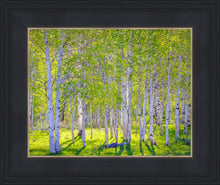 Load image into Gallery viewer, Early Morning Light in the Wasatch Backcountry
