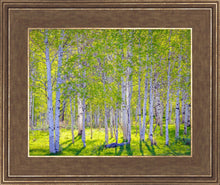 Load image into Gallery viewer, Early Morning Light in the Wasatch Backcountry
