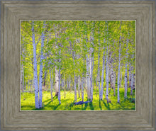 Load image into Gallery viewer, Early Morning Light in the Wasatch Backcountry
