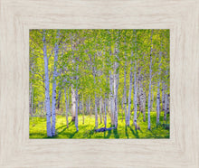 Load image into Gallery viewer, Early Morning Light in the Wasatch Backcountry
