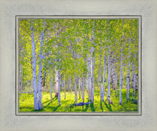 Load image into Gallery viewer, Early Morning Light in the Wasatch Backcountry

