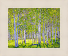 Load image into Gallery viewer, Early Morning Light in the Wasatch Backcountry
