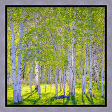 Load image into Gallery viewer, Early Morning Light in the Wasatch Backcountry
