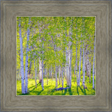 Load image into Gallery viewer, Early Morning Light in the Wasatch Backcountry
