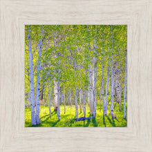 Load image into Gallery viewer, Early Morning Light in the Wasatch Backcountry
