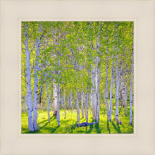 Load image into Gallery viewer, Early Morning Light in the Wasatch Backcountry
