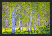 Load image into Gallery viewer, Early Morning Light in the Wasatch Backcountry
