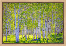 Load image into Gallery viewer, Early Morning Light in the Wasatch Backcountry
