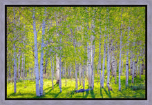 Load image into Gallery viewer, Early Morning Light in the Wasatch Backcountry
