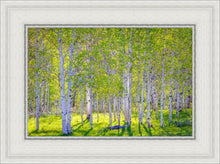 Load image into Gallery viewer, Early Morning Light in the Wasatch Backcountry
