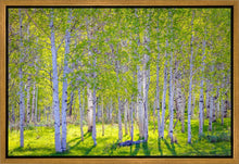 Load image into Gallery viewer, Early Morning Light in the Wasatch Backcountry
