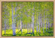 Load image into Gallery viewer, Early Morning Light in the Wasatch Backcountry
