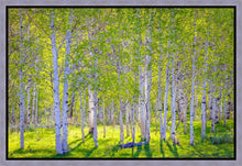 Load image into Gallery viewer, Early Morning Light in the Wasatch Backcountry
