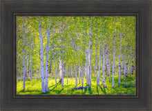 Load image into Gallery viewer, Early Morning Light in the Wasatch Backcountry

