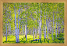 Load image into Gallery viewer, Early Morning Light in the Wasatch Backcountry
