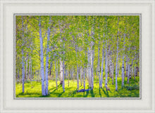 Load image into Gallery viewer, Early Morning Light in the Wasatch Backcountry
